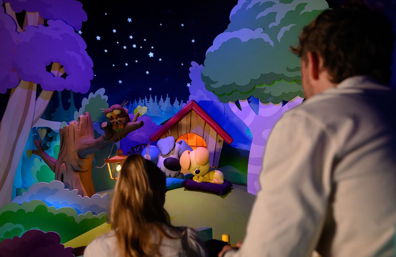 Over 25 attractions and shows